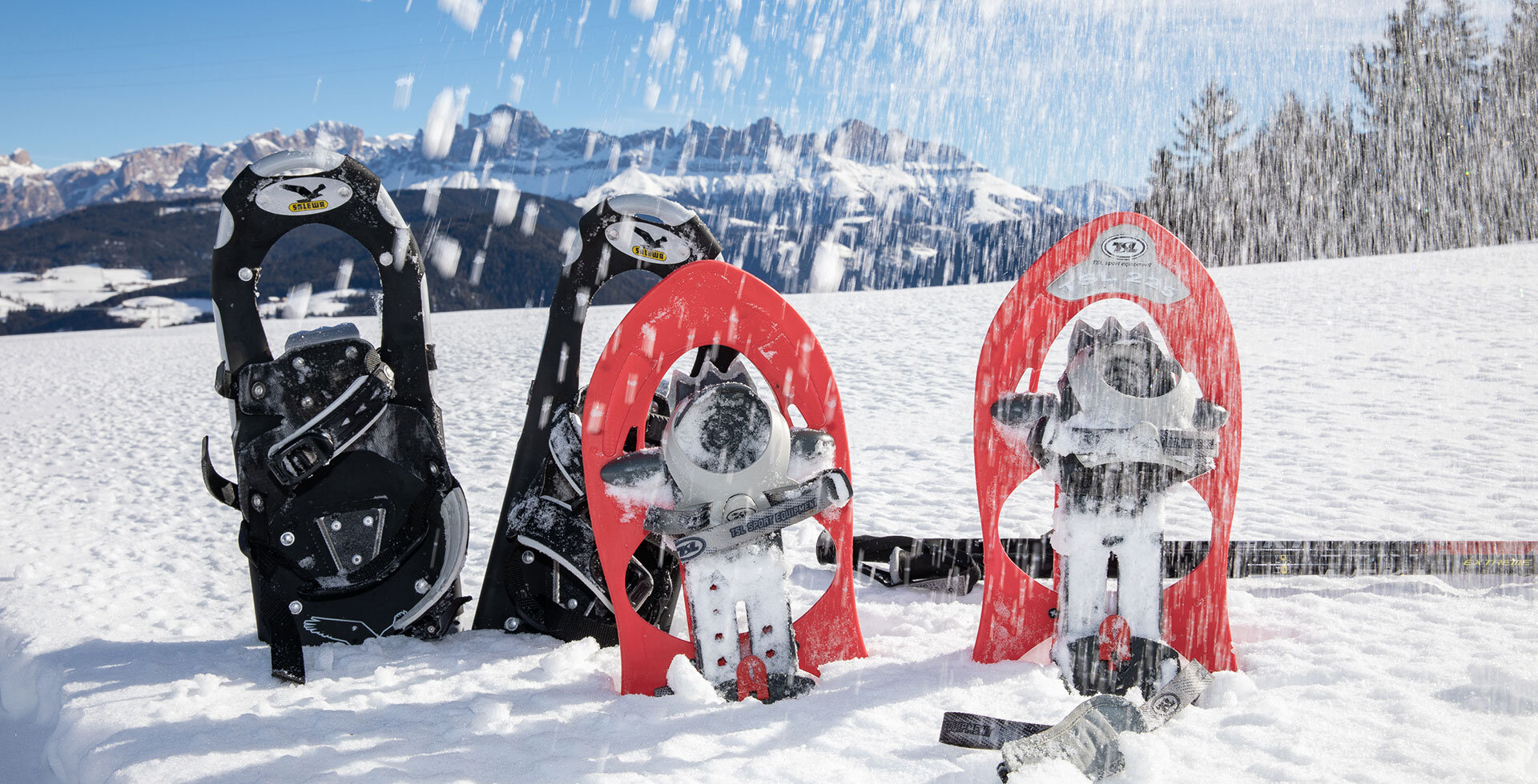 Winterwandern Carezza Dolomiten