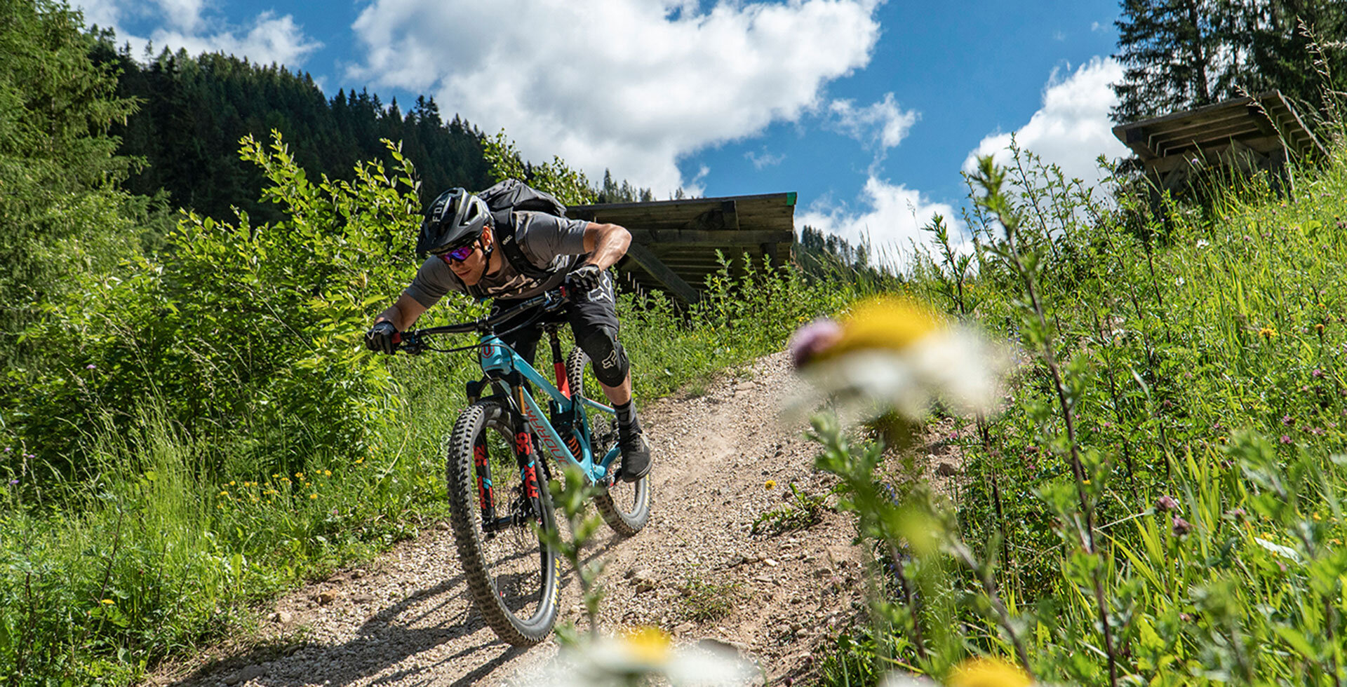 Carezza Bike Trail Dolomiten