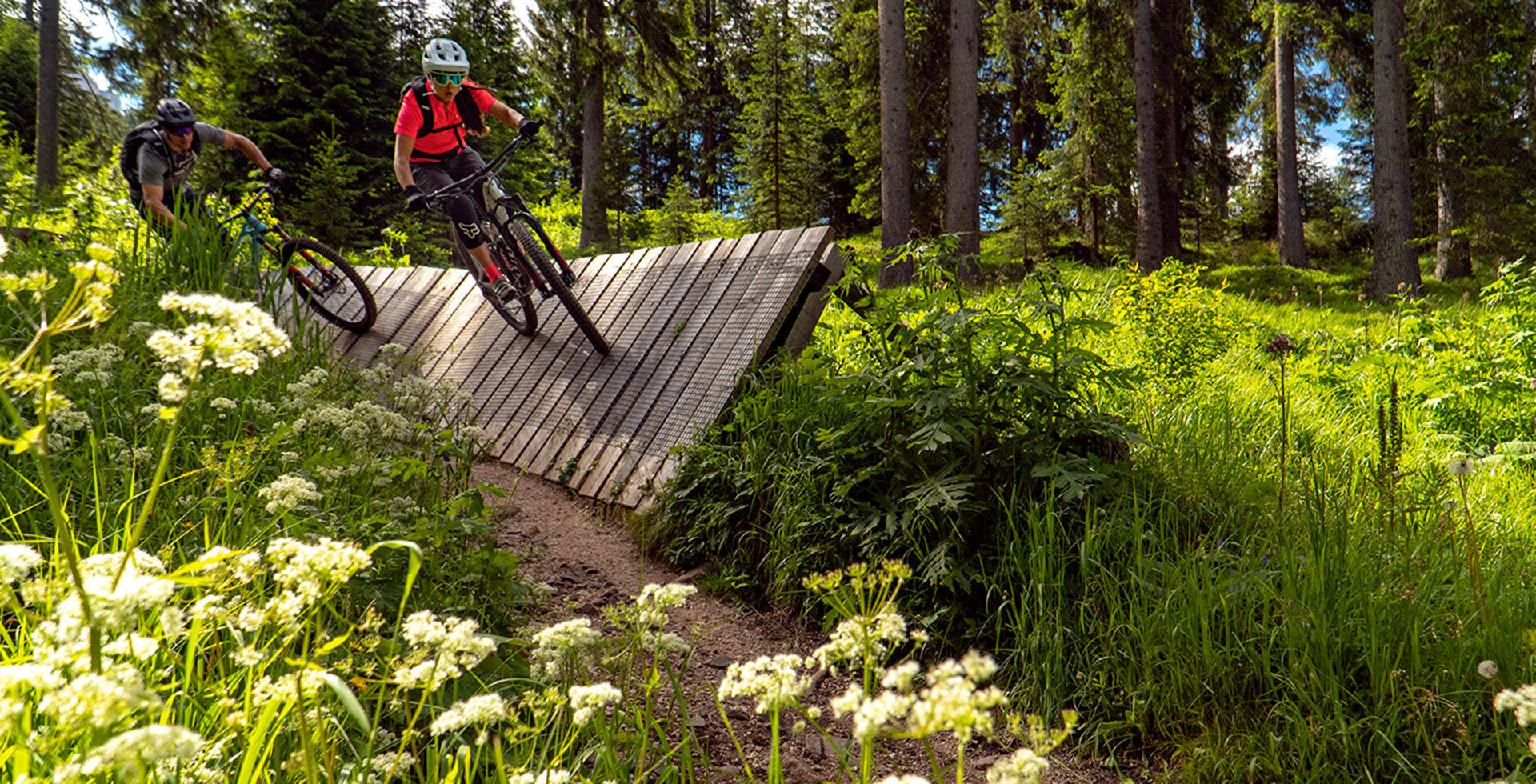 Mountainbike Touren in Südtirol