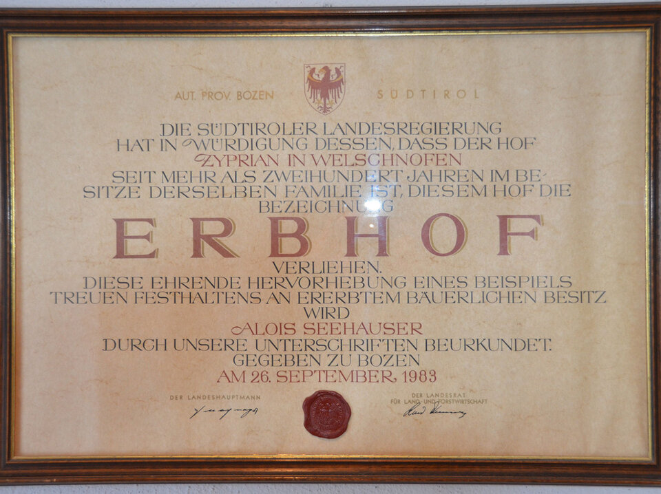 © 2025 Zyprianhof